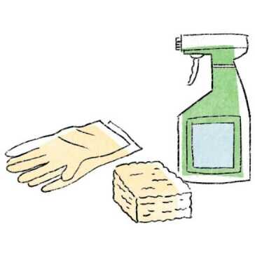 Gloves, a sponge, and spray cleaner.